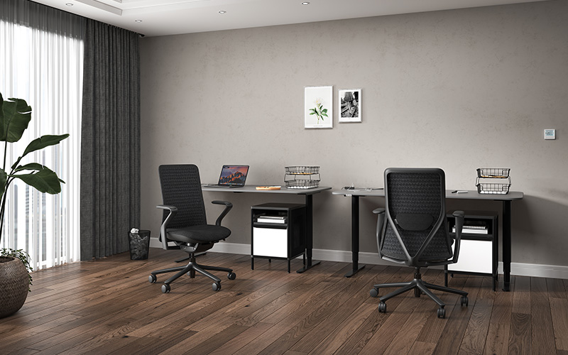 ghế công thái học