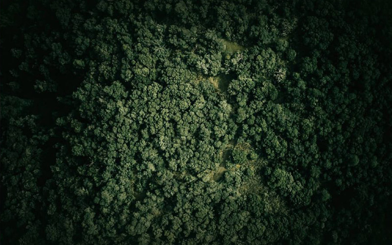 phone booth in office