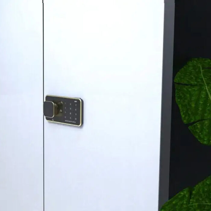 khóa mật khẩu tủ nội thất wangtong M-1604