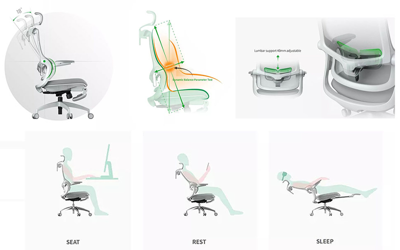 ghế công thái học