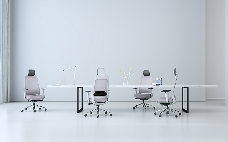 ghế công thái học