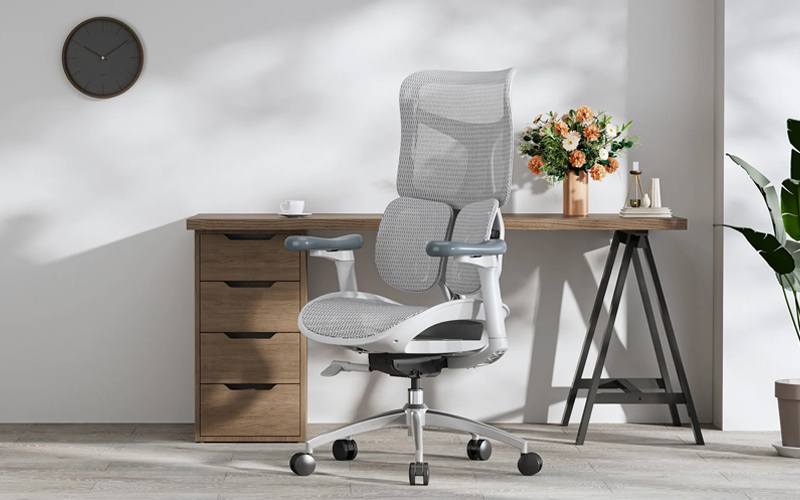 ghế công thái học