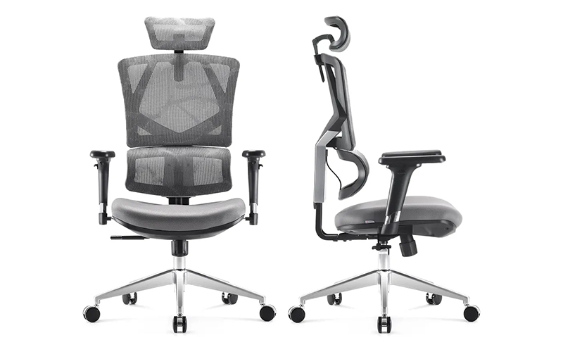 ghế công thái học