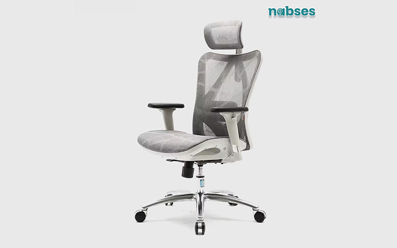 ghế công thái học