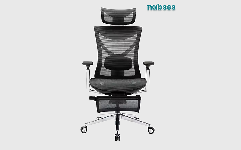 ghế công thái học