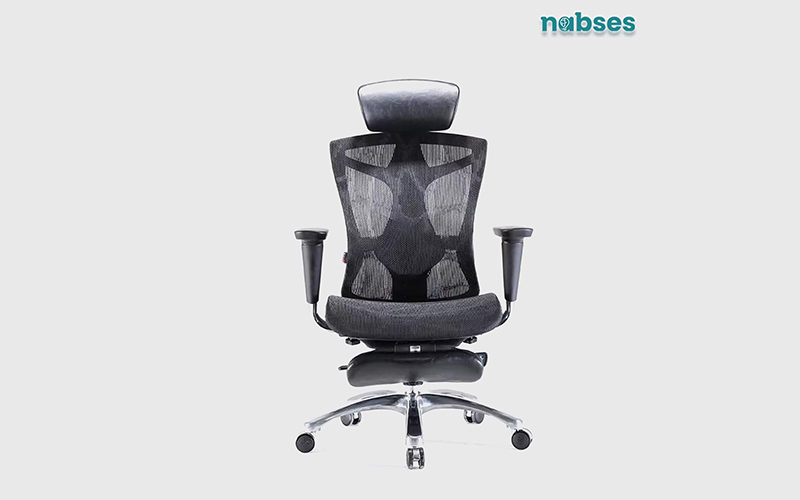 ghế công thái học