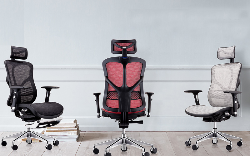 ghế công thái học