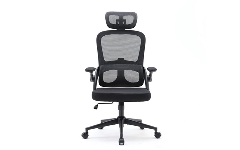 ghế công thái học hà nội