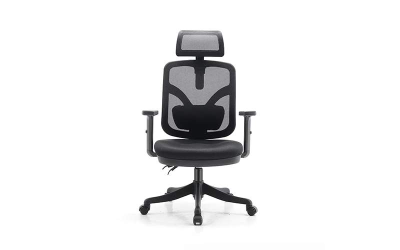 ghế công thái học hà nội