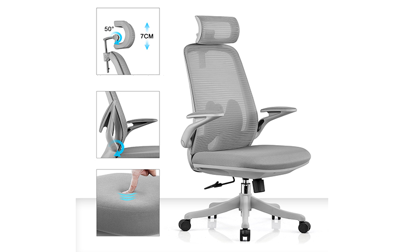 ghế công thái học là gì