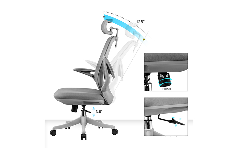 ghế công thái học là gì